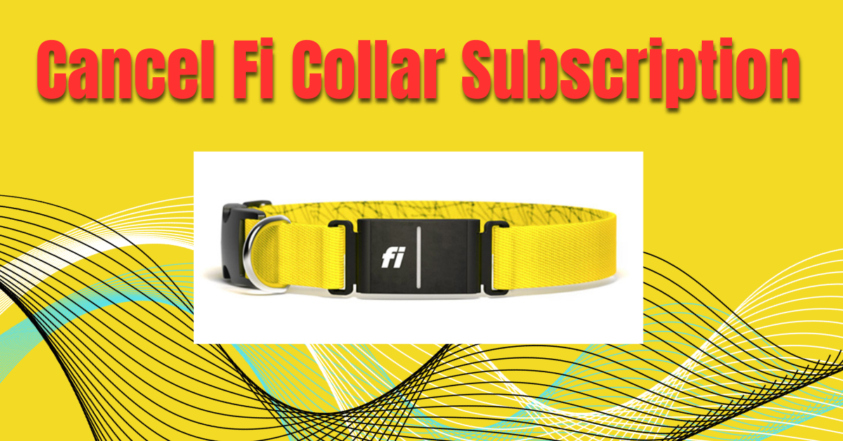 Cancel Fi Collar Subscription